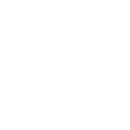 icon dot